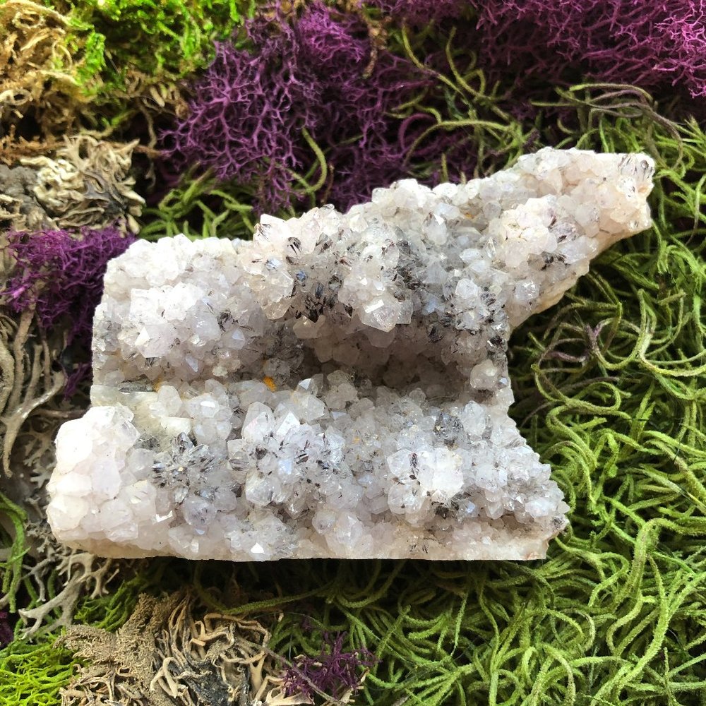 Quartz Crystal Cluster with Tourmaline and Star Hollandite white black bear wolf